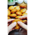 烘焙糕点442