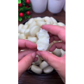 面食37