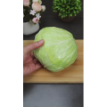 美食制作2744