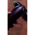 美食制作2785