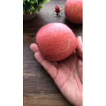 美食制作2835