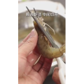 美食制作2839