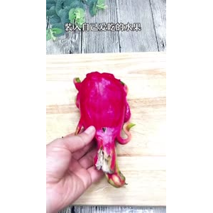美食制作2863