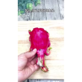 美食制作2863