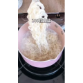 美食制作2919