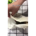 美食制作2990