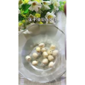 美食制作3228