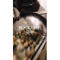 美食制作3237