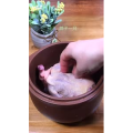 美食制作3739