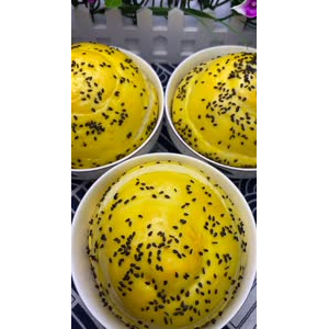 美食制作3844