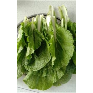 美食制作4251