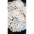 美食制作4262