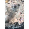美食制作4263