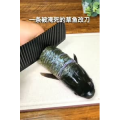 美食制作4273