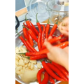 美食制作4283