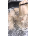 美食制作4311