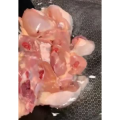 美食制作4331