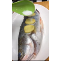美食制作4335