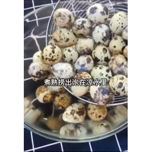 美食制作4345