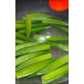 美食制作4374