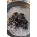 美食制作4388