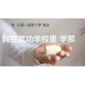 美食制作4592