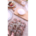 美食制作4713
