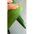 美食制作4963
