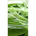 美食制作5001