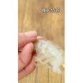 美食制作5003