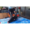 切鱼肉解压11