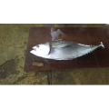 切鱼肉解压14