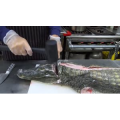 切鱼肉解压15