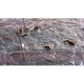 切鱼肉解压20