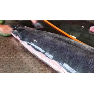 切鱼肉解压23