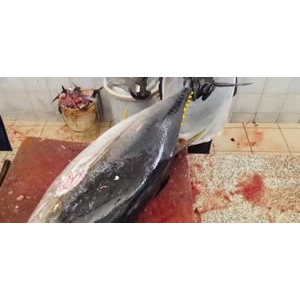 切鱼肉解压39