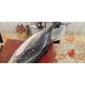 切鱼肉解压39