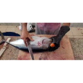 切鱼肉解压44