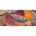 切鱼肉解压47