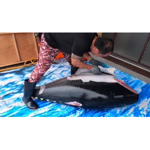 切鱼肉解压56