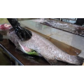 切鱼肉解压58