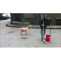 张杰叫
