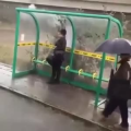 国外搞笑3