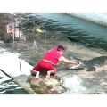 国外搞笑8