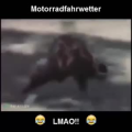 国外搞笑11