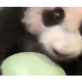 国外搞笑12