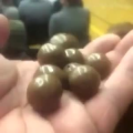 国外搞笑18