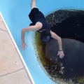 国外搞笑31