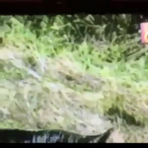 国外搞笑32
