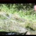 国外搞笑32